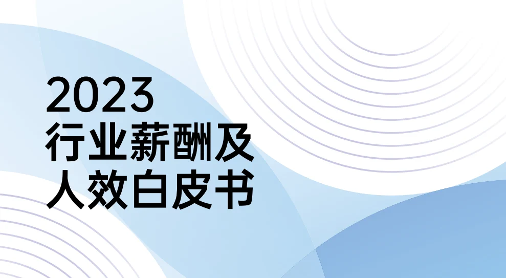 2023年行业薪酬及人效白皮书 封面