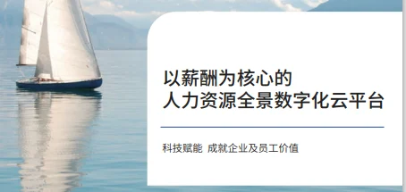 2022人力资源全景数字化手册 封面